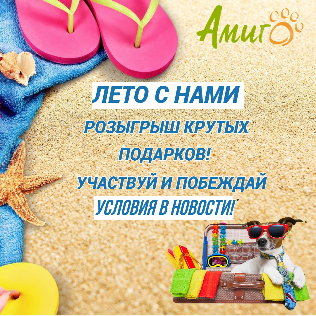 ЛЕТО С НАМИ 