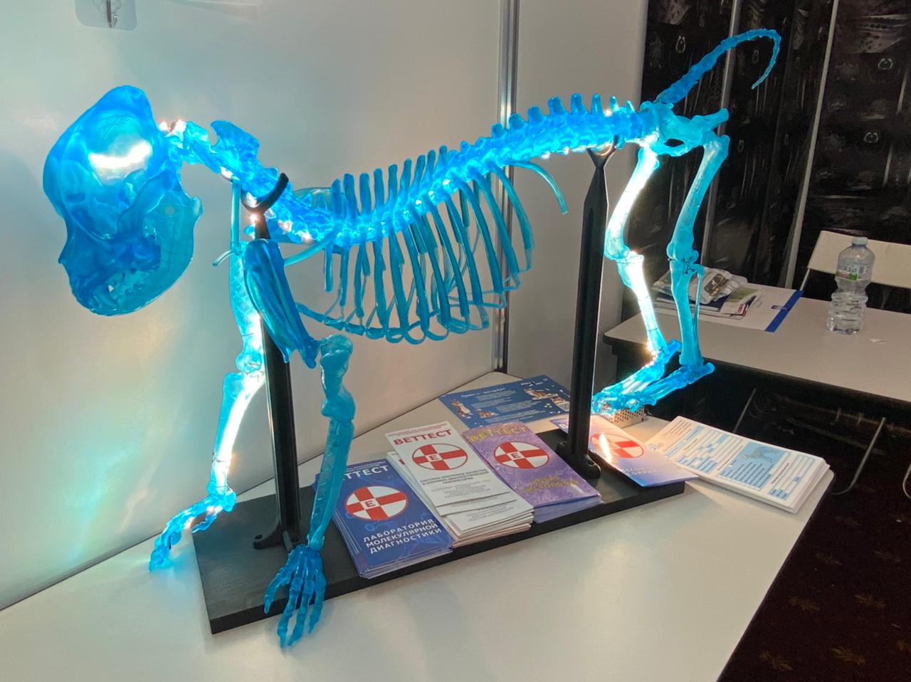 Участие в Национальной Ветеринарной Конференции