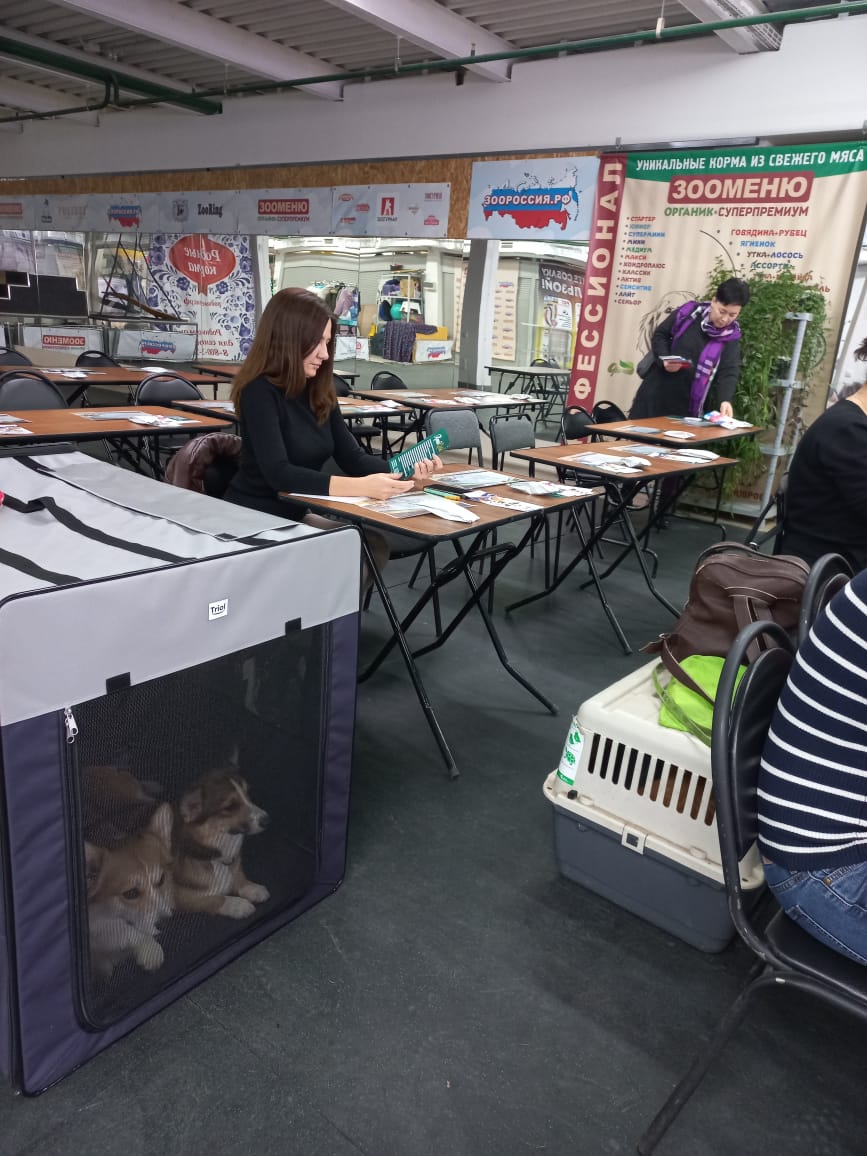 СЕМИНАР -ТРЕНИНГ