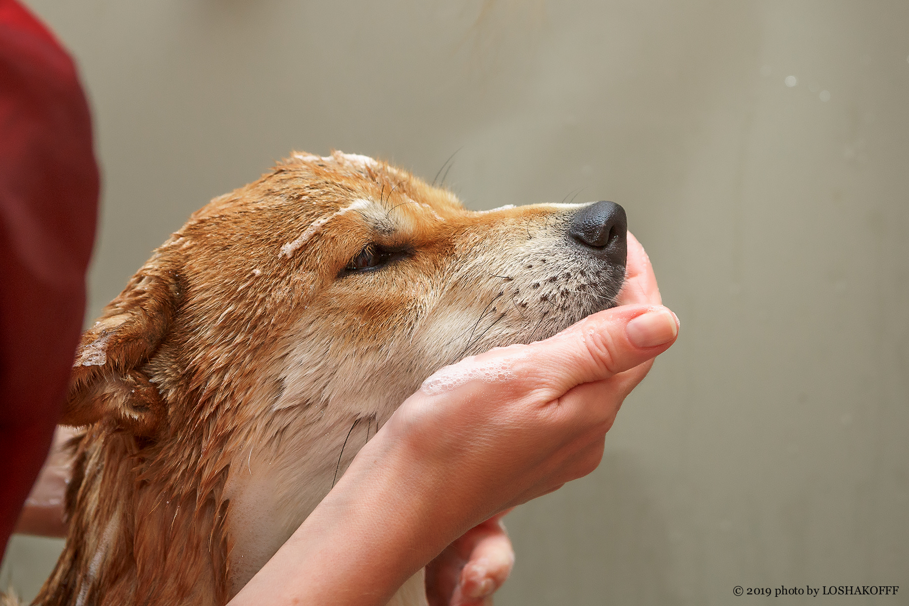 Cеминар по косметике Davis и Petuxe