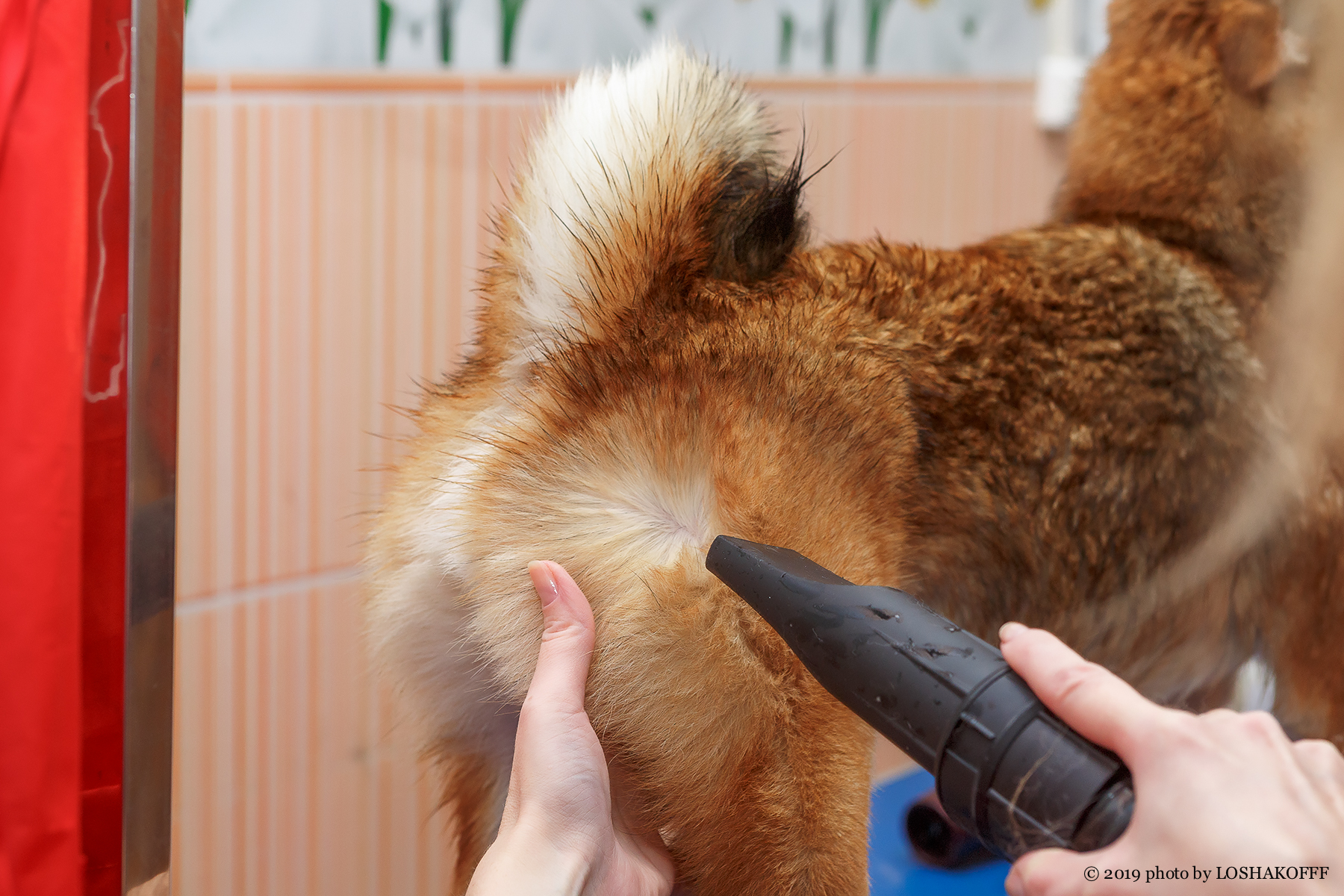 Cеминар по косметике Davis и Petuxe