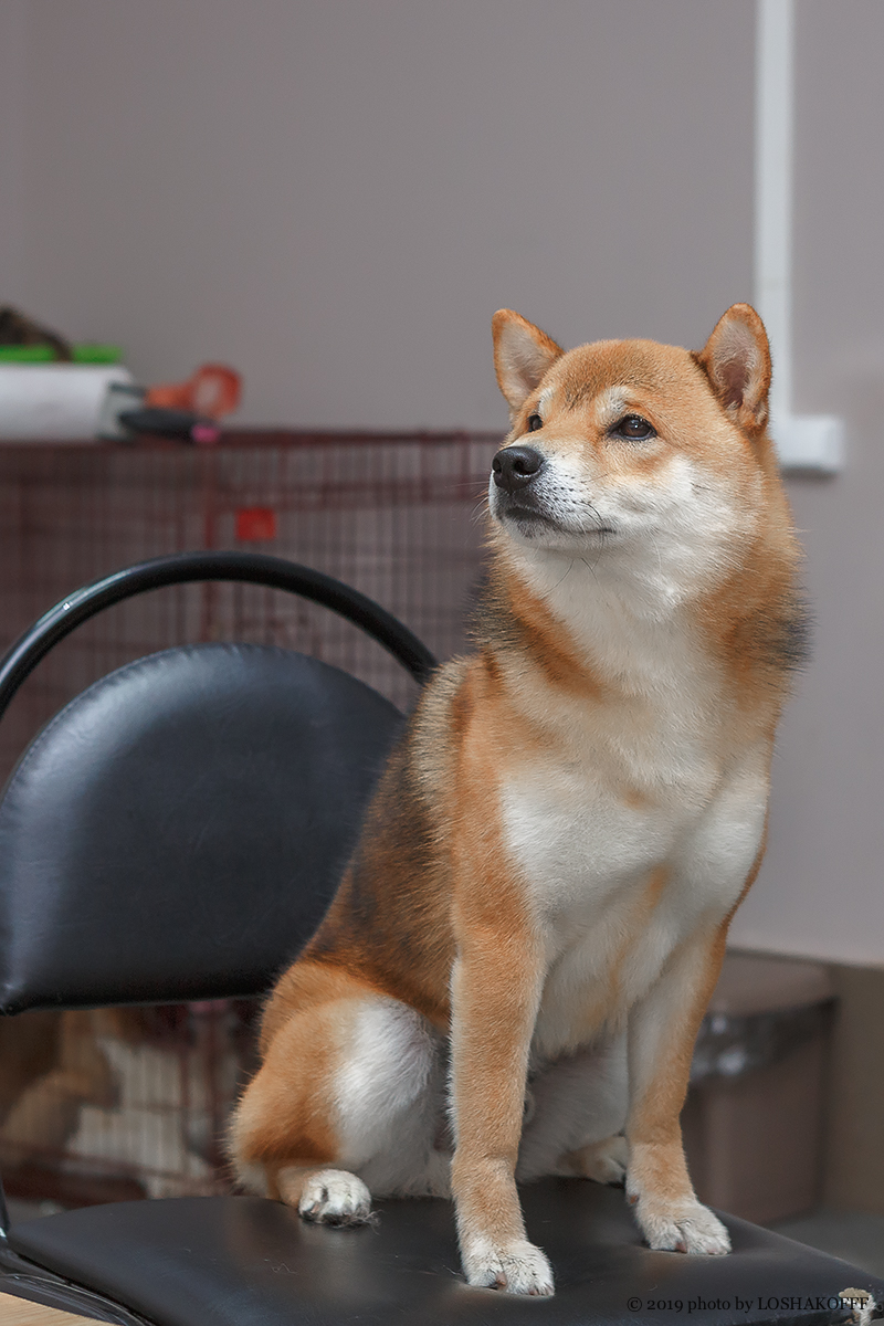 Cеминар по косметике Davis и Petuxe