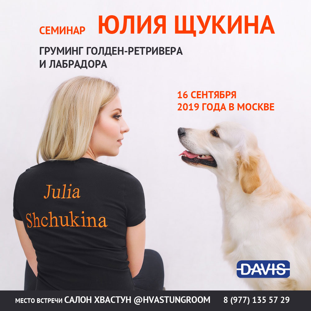Семинар груминг голден-ретривера