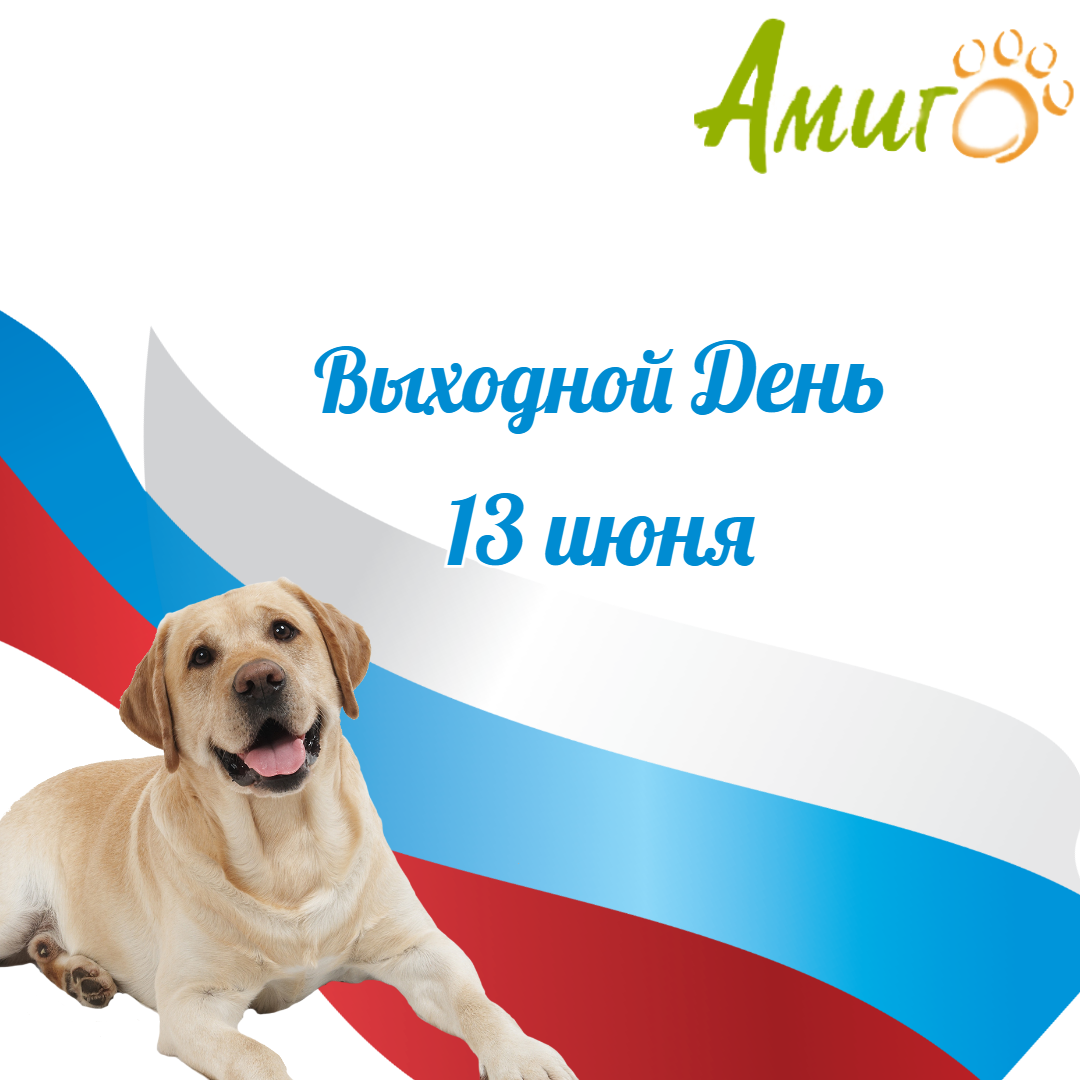 13 июня ВЫХОДНОЙ ДЕНЬ 