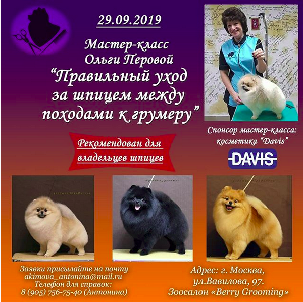 Мастер класс по шпицам