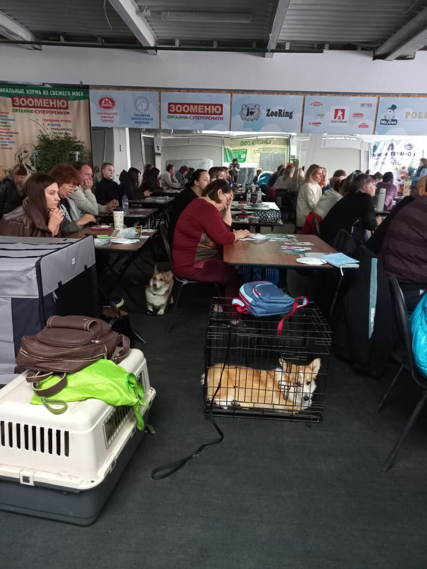 СЕМИНАР -ТРЕНИНГ