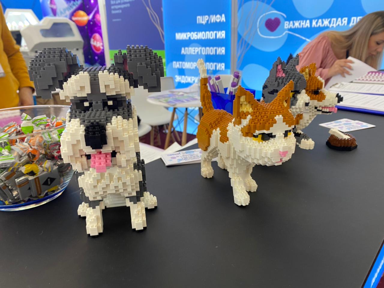 Участие в Национальной Ветеринарной Конференции