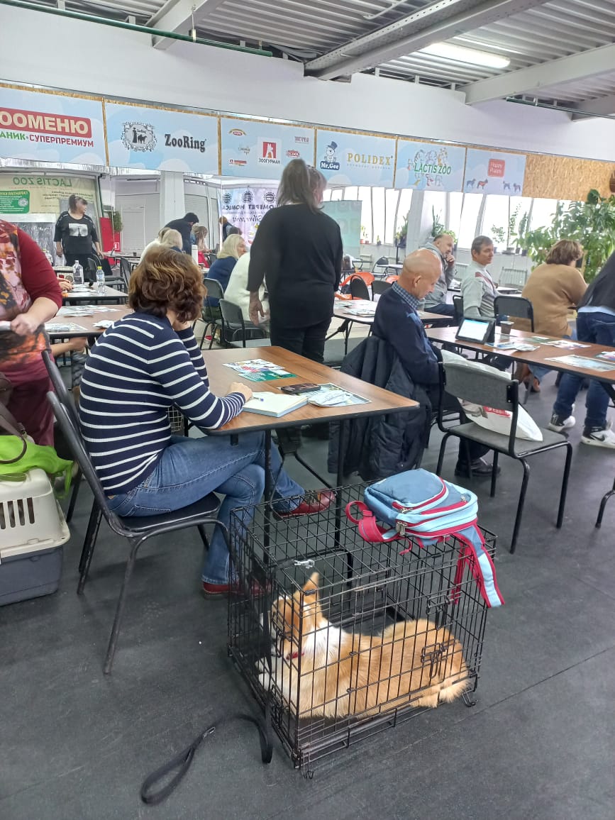 СЕМИНАР -ТРЕНИНГ