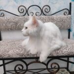 Оксана Жукова