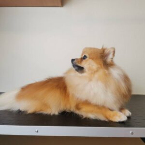 Фото к отзыву