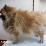 Наталья