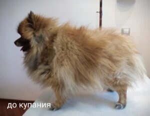 Фото к отзыву